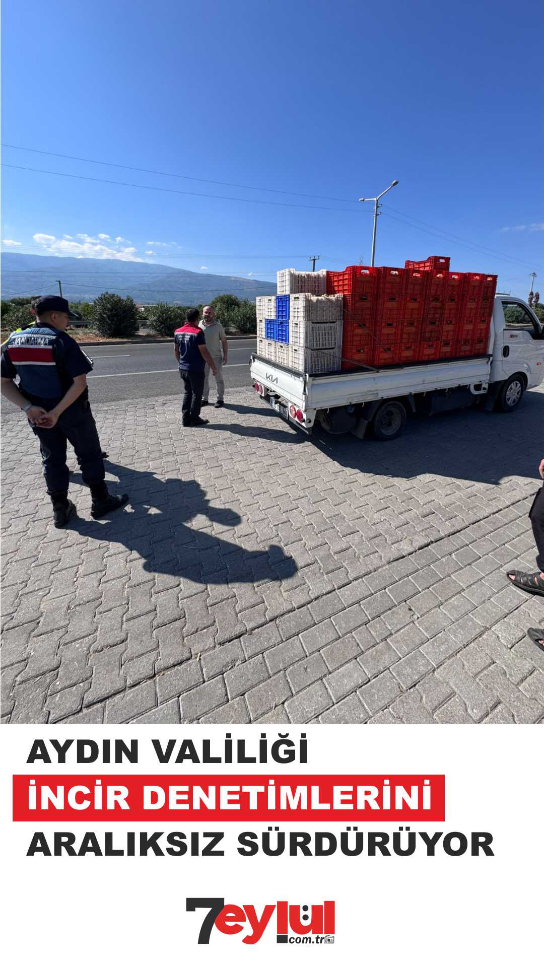 VALİLİK İNCİR KONUSUNDA DİKKATLİ