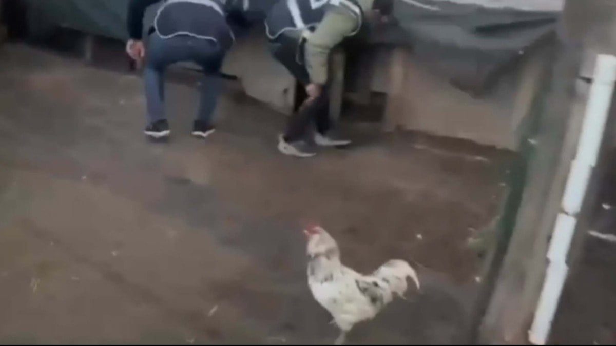 45 yıl hapis cezası olan firari hükümlü, saklandığı kümeste öksürünce yakalandı