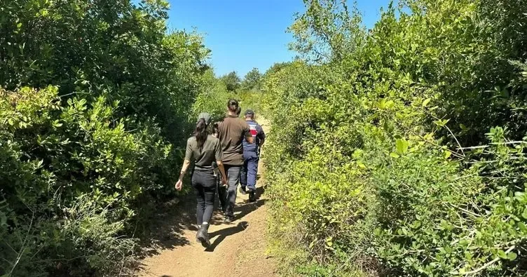 O sahillerde sıkı denetim! Çadırlar kaldırıldı, cezai işlem uygulandı