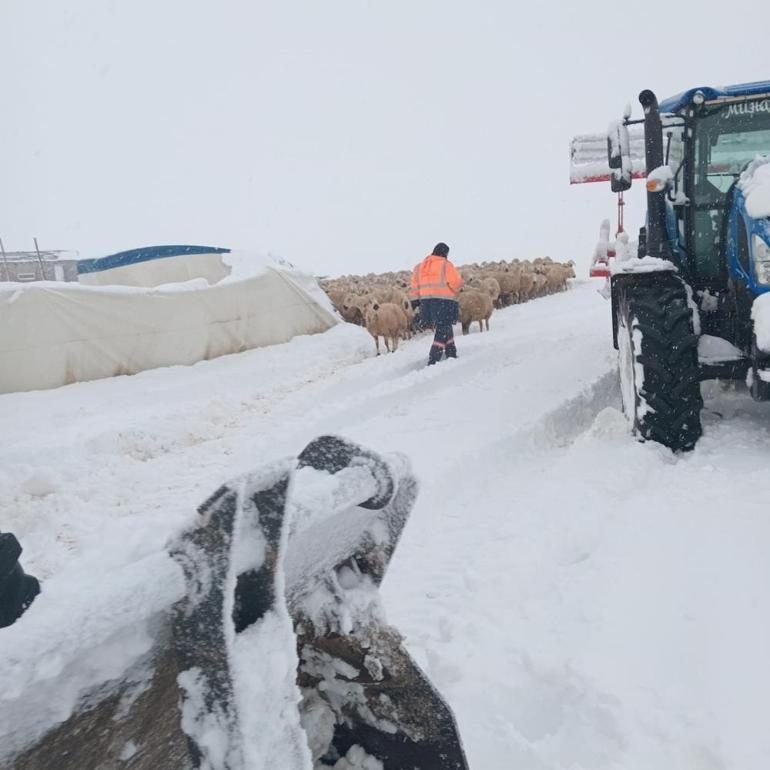 Birçok kent bembeyaz Kar kalınlığı 40 santimetreye ulaştı