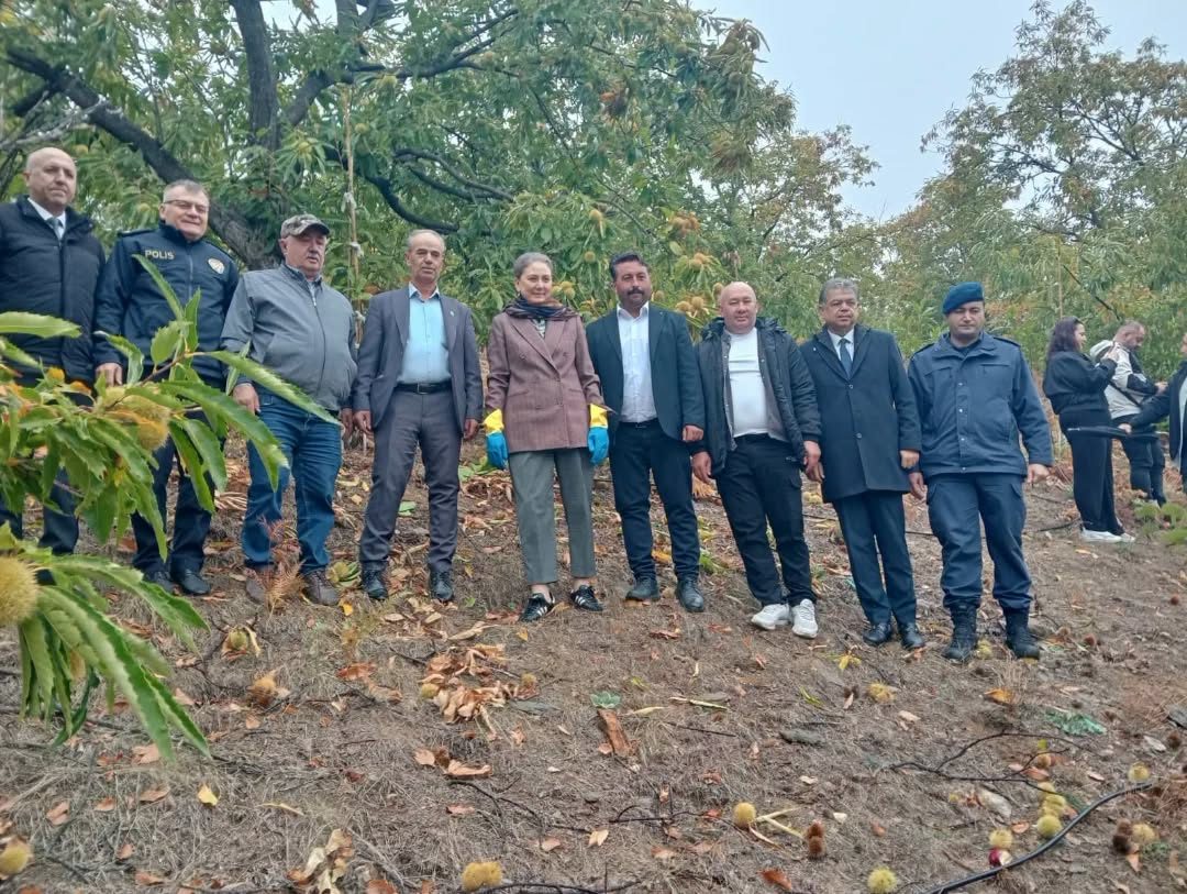 Nazilli’de Kestane Hasadı ve Tanıtım Etkinliği Düzenlendi