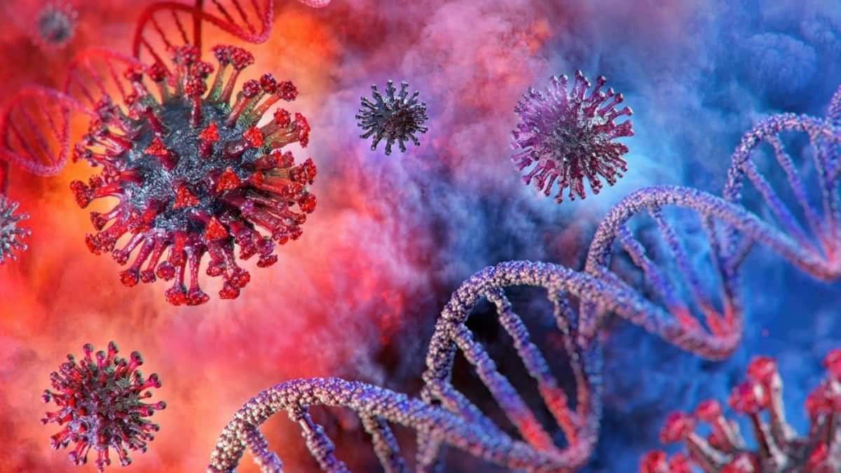 Dünya alarm durumuna geçti! Chikungunya virüsü nedir?