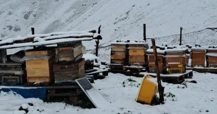 Rize'de yüksek kesimlere kar yağdı