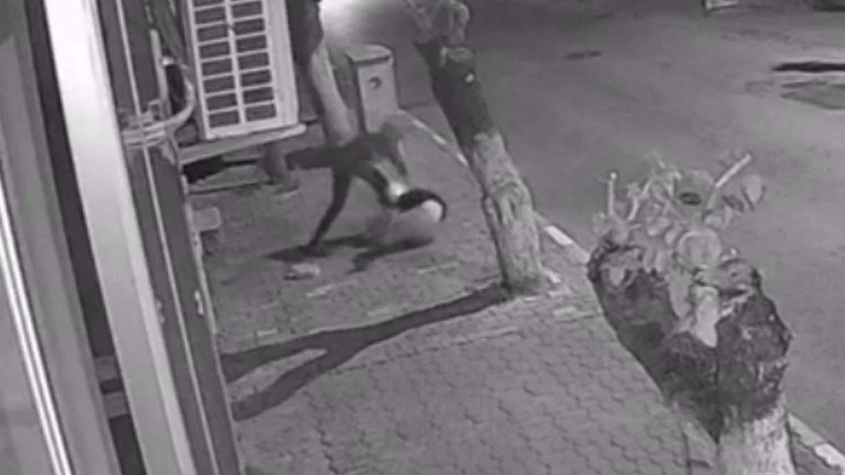İzmir’de Betül'ü bıçakla yaralayıp telefonunu çalan komşu oğlu, 18 yıl 8 ay hapis cezası aldı
