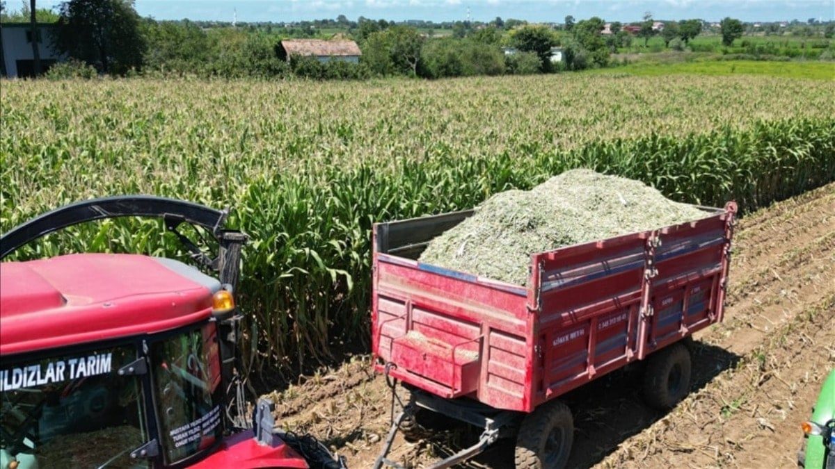 Çorum’da korkunç ölüm: Yem kırma makinesine düşen kişi hayatını kaybetti