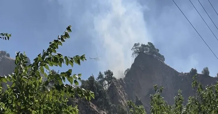Aydın'da tarım arazisinde yangın